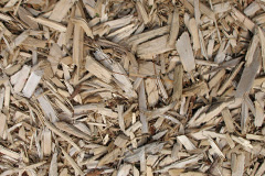 biomass boilers Tadhill